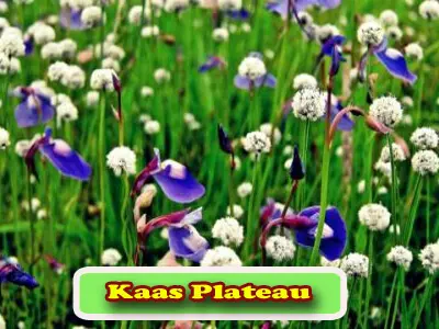 13 Kaas Plateau